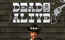 Игровой автомат Dead Or Alive